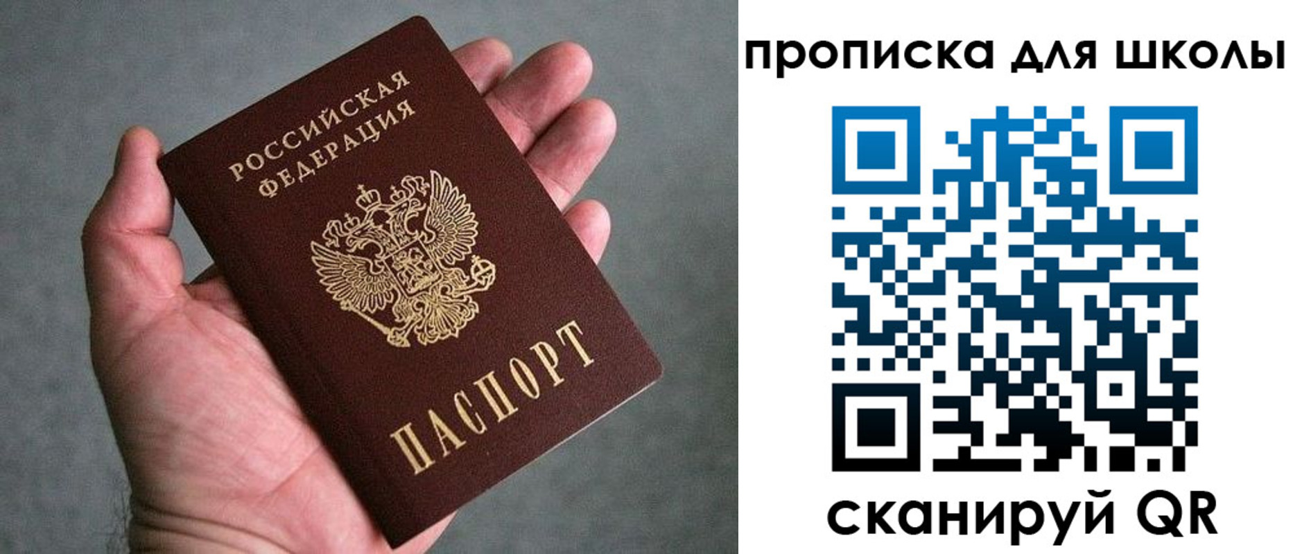 прописка для школы в Будённовске